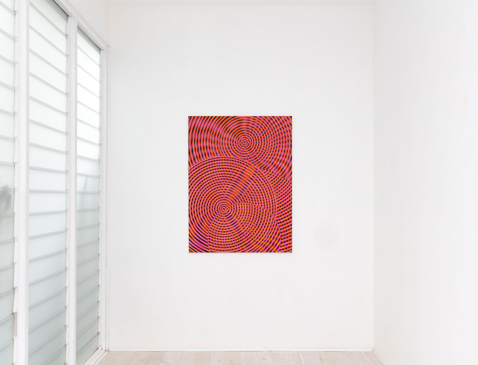 1.Sonic-network-no.19-Gallery-9-installation-view-2024