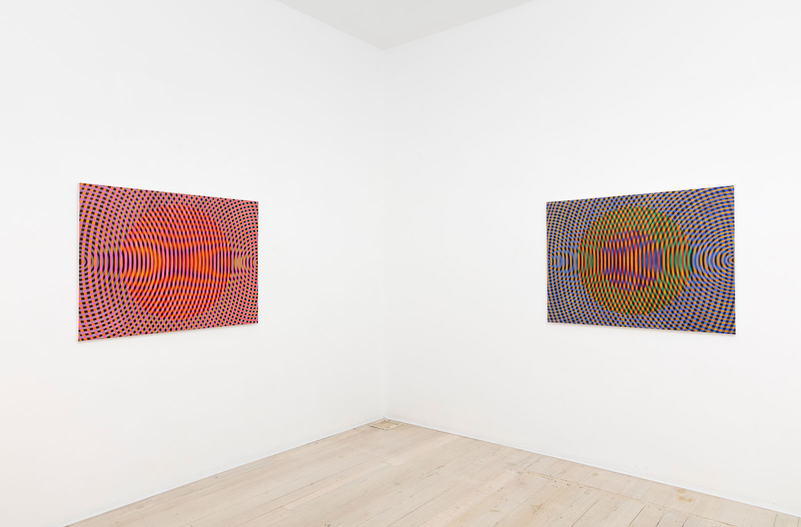 7.Sonic-network-no.19-Gallery-9-installation-view-2024